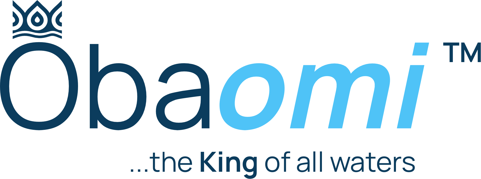 Obaomi logo deep blue variant